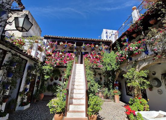 spain/cordoba/san-basilio/landmark/ruta-de-patios-cordoba