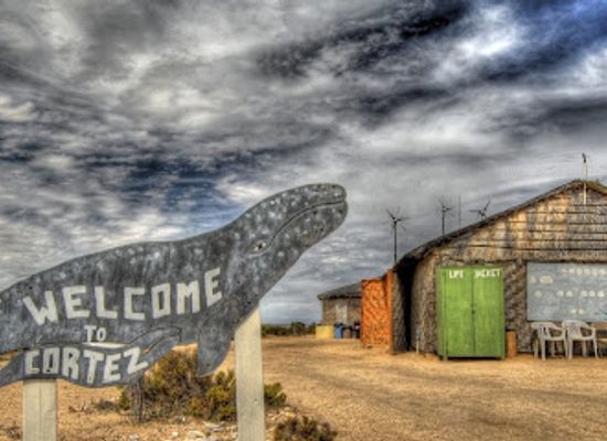 mexico/baja-california-peninsula/landmark/baja-ecotours