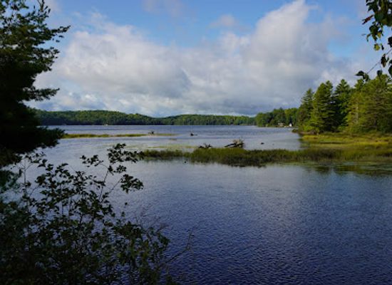 canada/haliburton-highlands/landmark/buttermilk-falls