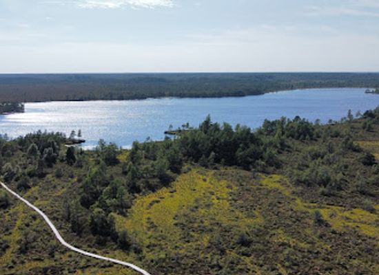 estonia/estonian-islands/landmark/koigi-bog-and-hiking-path