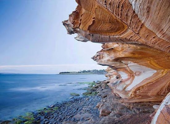 australia/tasmanian-wilderness/landmark/maria-island-national-park