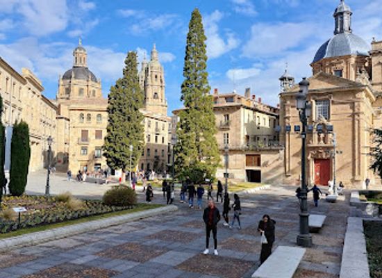 spain/salamanca/san-bernardo/landmark/anaya-palace