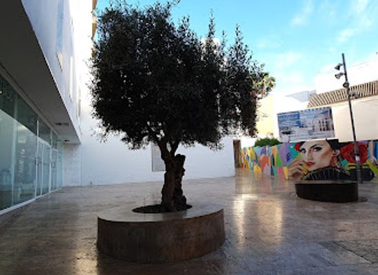 spain/malaga/landmark/raices-y-alas