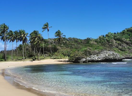 dominican-republic/samana-peninsula/landmark/playa-de-las-canas