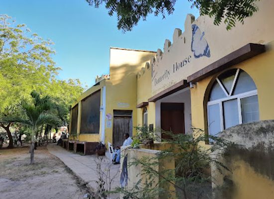 kenya/mombasa/landmark/mombasa-butterfly-house
