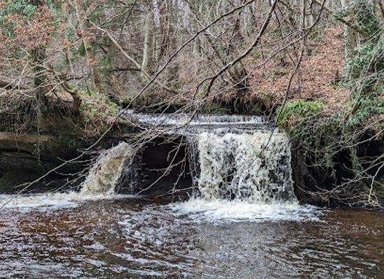 united-kingdom/midlothian/attraction/gore-glen-woodland-park-2