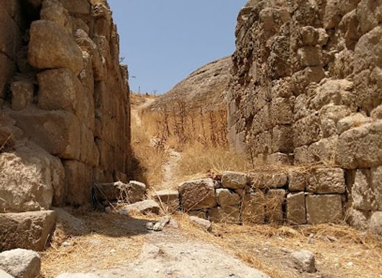 jordan/southern-jordan-valley/landmark/jerash-visitor-center