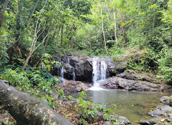 puerto-rico/caribbean-national-forest/landmark/charco-prieto-waterfall