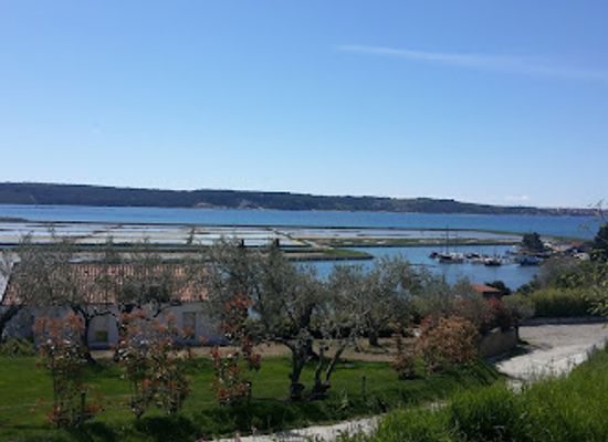 slovenia/posavje/landmark/fonda-fish-farm