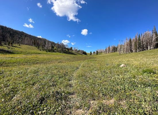 wyoming/sublette-county/landmark/wyoming-range