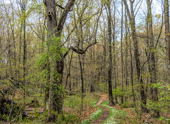 new-york/leatherstocking-region/landmark/weinberg-nature-center