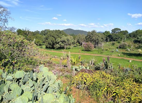 zimbabwe/bvumba-botanical-gardens/landmark/ewanrigg-garden