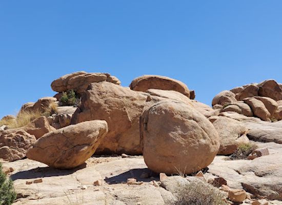 california/joshua-tree-national-park/landmark/joshua-tree-visitor-center