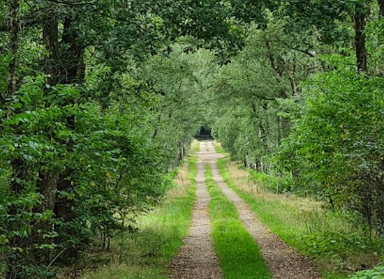 netherlands/achterhoek/landmark/de-valouwe
