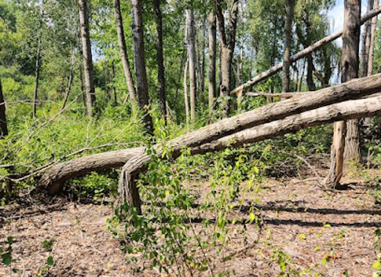 wisconsin/southeast-wisconsin/landmark/ice-age-trail-blackhawk-segment