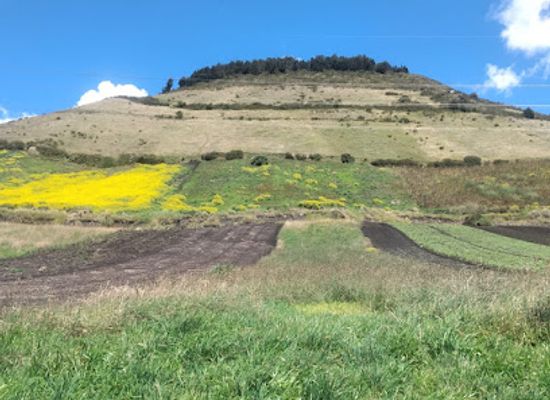 ecuador/highland-valleys/landmark/centro-turistico-mirador-tzunantza-apatug-alto