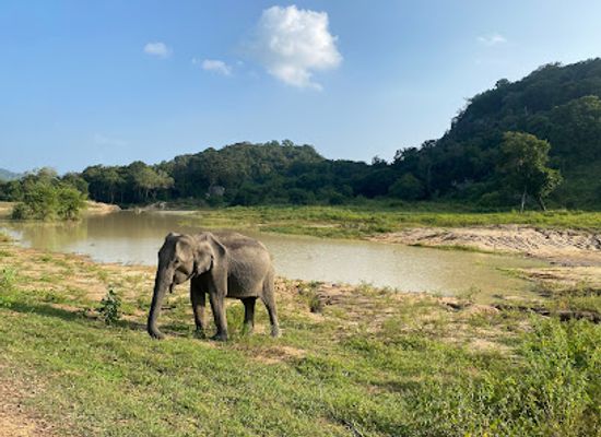 sri-lanka/minneriya-national-park/landmark/hurulu-eco-park-wild-elephant-safari