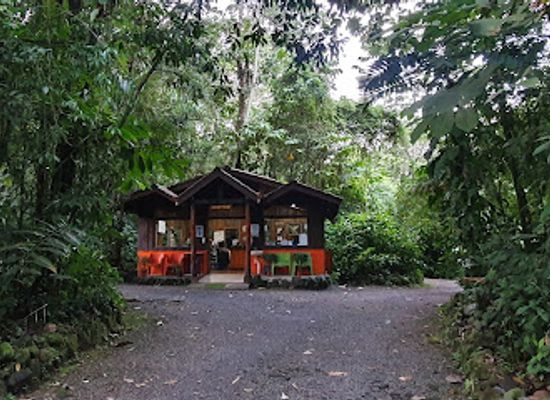costa-rica/la-fortuna/landmark/arenal-oasis-eco-lodge-wildlife-refuge