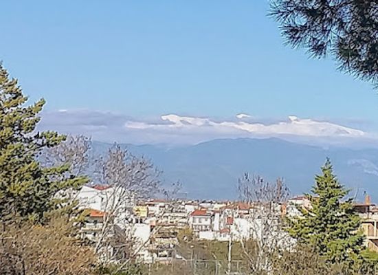 greece/larissa/landmark/mezourlos-grove