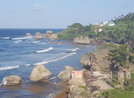 barbados/south-coast/landmark/andromeda-botanic-gardens