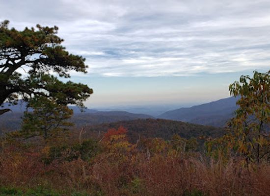 virginia/roanoke-valley/landmark/blue-ridge-parkway-wetlands