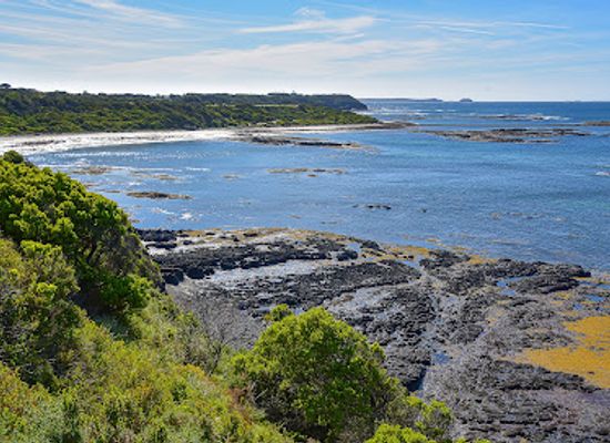 australia/mornington-peninsula/landmark/mushroom-reef-marine-sanctuary
