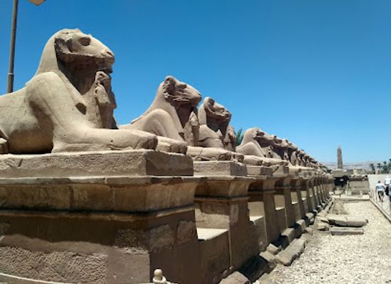 egypt/luxor/landmark/avenue-of-the-rams