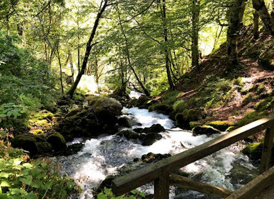 montenegro/tara-river-valley/landmark/tara-springs-park