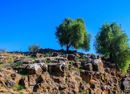jordan/umm-qais/landmark/al-arayes-lake