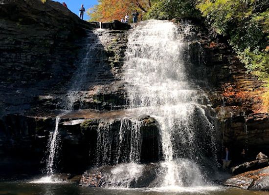 maryland/swallow-falls-state-park/landmark/swallow-falls-natural-area
