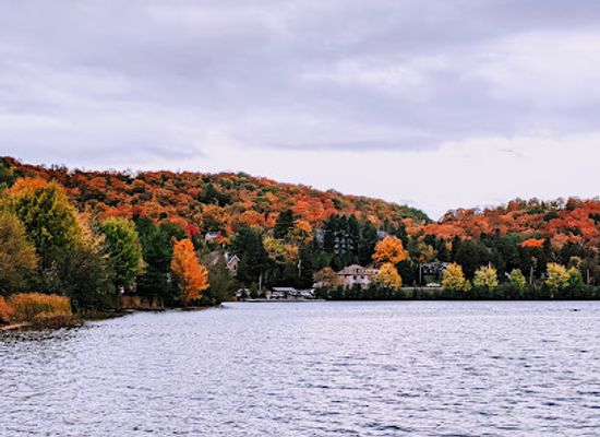 canada/haliburton-highlands/landmark/head-lake-rotary-park