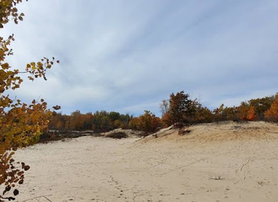 michigan/northern-michigan/landmark/houdek-dunes-natural-area-the-leelanau-conservancy