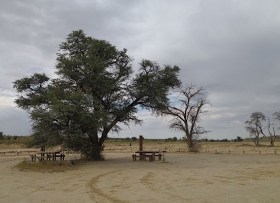 botswana/nxai-pan-national-park/landmark/kgalagadi-transfrontier-park