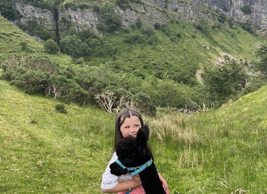ireland/county-leitrim/landmark/glencar-alpacas