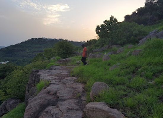 mali/bamako-district/landmark/mali-national-park