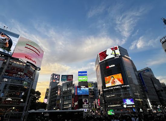 japan/tokyo/shibuya/landmark/shibuya-scramble-crossing