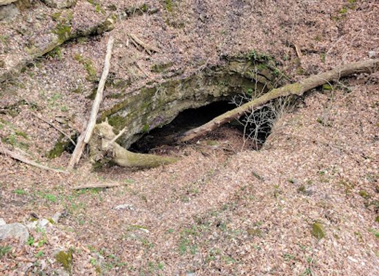 kentucky/western-coal-fields/landmark/dixon-cave