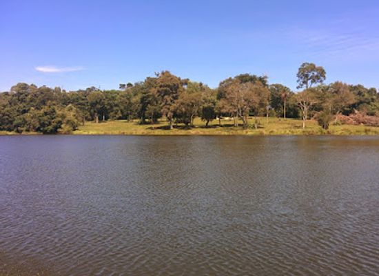 paraguay/itapua-plains/landmark/reserva-san-rafael-itapua-paraguay