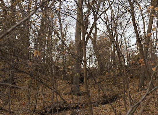 illinois/quad-cities/landmark/sinnissippi-mounds-historic-site