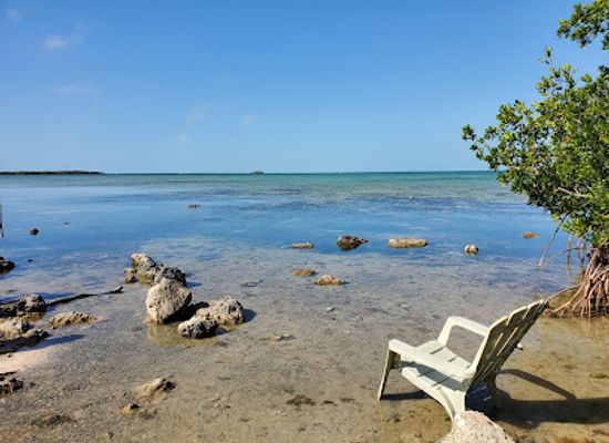 florida/florida-keys/landmark/wild-bird-sanctuary-florida-keys-wild-bird-center