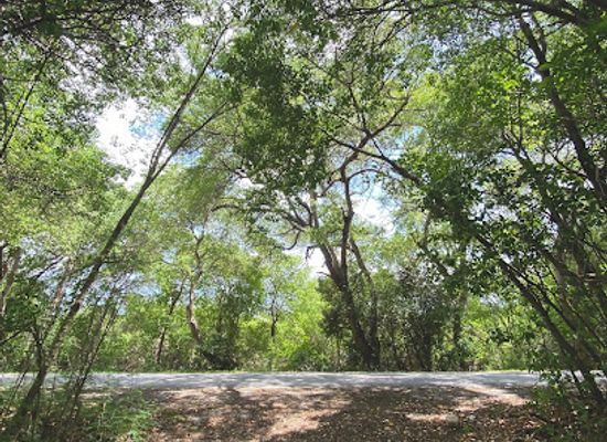 curacao/groot-santa-martha/landmark/santa-martha-nature