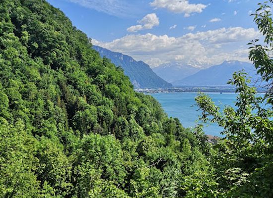 switzerland/montreux/landmark/original-flash-garden