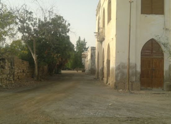 eritrea/akkele-guzay/landmark/sheikh-hanafi-mosque