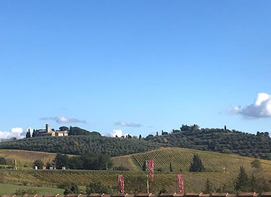 italy/san-gimignano/landmark/azienda-agricola-palagetto