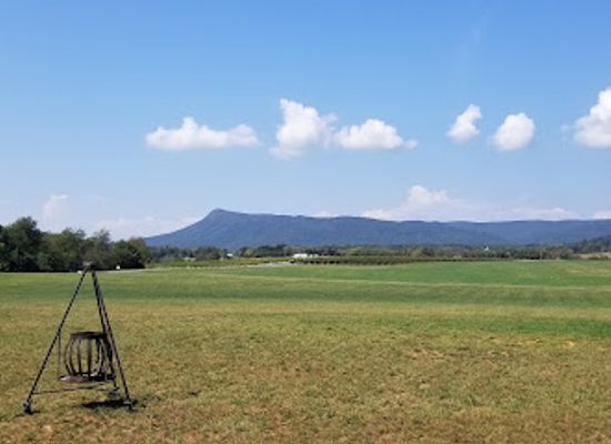 virginia/harrisonburg/landmark/three-notch-d-brewing-company-valley-collab-house