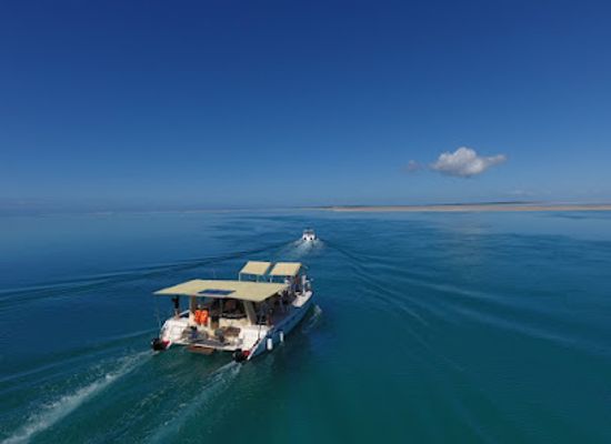 mozambique/vilanculos/landmark/wild-africa-mozambique