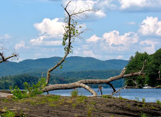 massachusetts/pioneer-valley/landmark/dinosaur-footprints