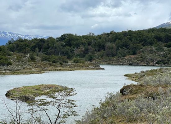 argentina/tierra-del-fuego-national-park/landmark/senda-paseo-de-la-isla