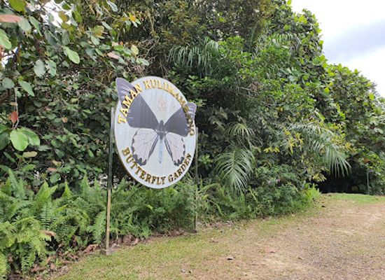 brunei/tutong-river/landmark/taman-kulimambang-butterfly-garden