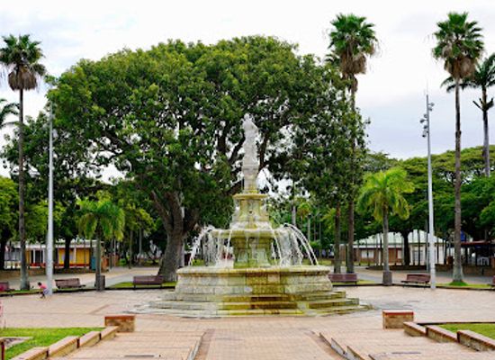 new-caledonia/noumea/anse-vata/landmark/place-des-cocotiers